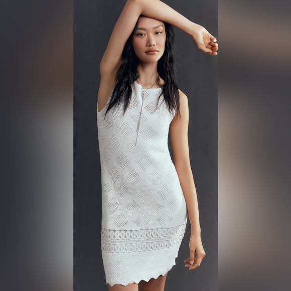 Anthropologie Sleeveless Crochet Boat-Neck Mini Shift Dress - Picture 3 of 5